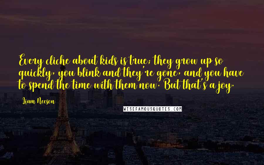 Liam Neeson Quotes: Every cliche about kids is true; they grow up so quickly, you blink and they're gone, and you have to spend the time with them now. But that's a joy.