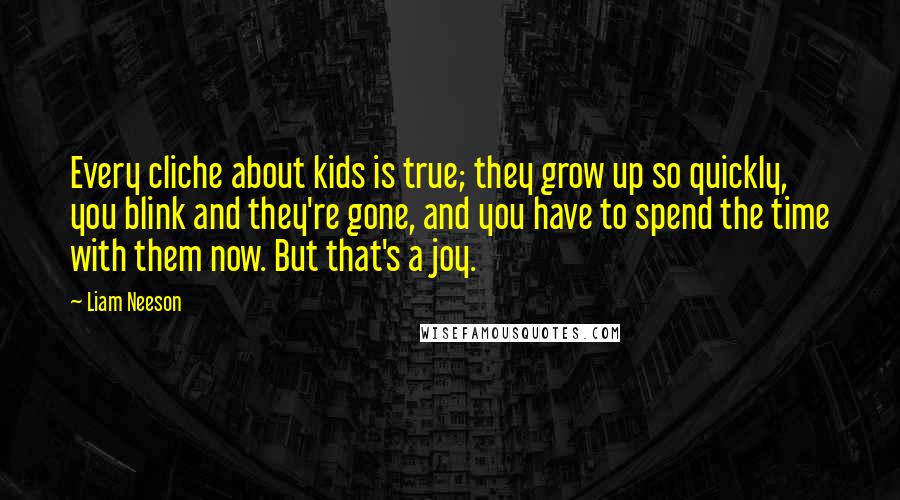 Liam Neeson Quotes: Every cliche about kids is true; they grow up so quickly, you blink and they're gone, and you have to spend the time with them now. But that's a joy.