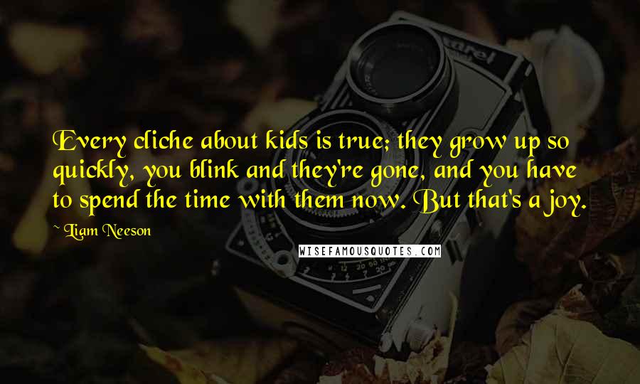 Liam Neeson Quotes: Every cliche about kids is true; they grow up so quickly, you blink and they're gone, and you have to spend the time with them now. But that's a joy.