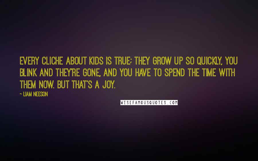 Liam Neeson Quotes: Every cliche about kids is true; they grow up so quickly, you blink and they're gone, and you have to spend the time with them now. But that's a joy.