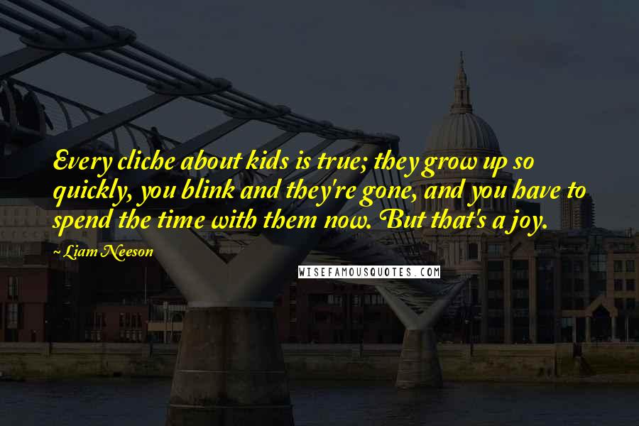 Liam Neeson Quotes: Every cliche about kids is true; they grow up so quickly, you blink and they're gone, and you have to spend the time with them now. But that's a joy.