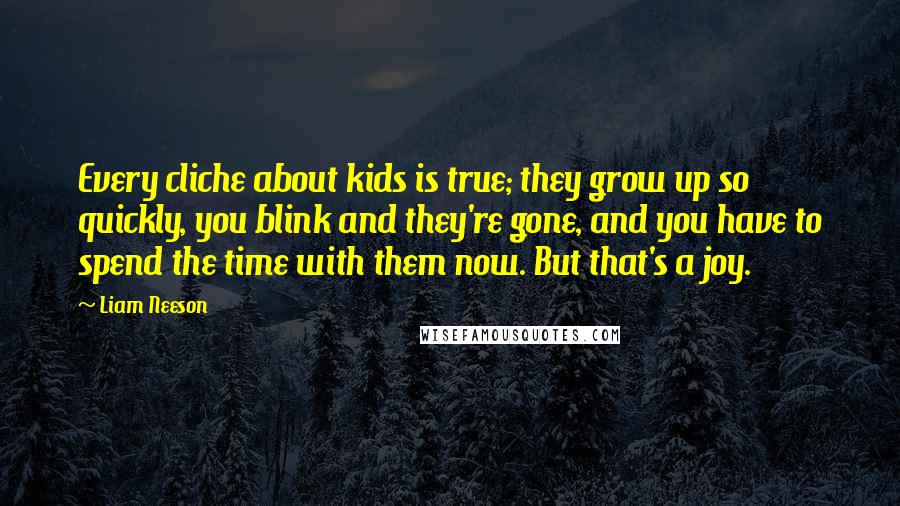 Liam Neeson Quotes: Every cliche about kids is true; they grow up so quickly, you blink and they're gone, and you have to spend the time with them now. But that's a joy.