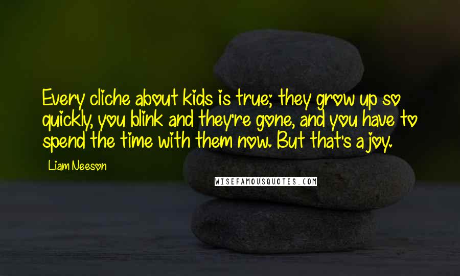 Liam Neeson Quotes: Every cliche about kids is true; they grow up so quickly, you blink and they're gone, and you have to spend the time with them now. But that's a joy.