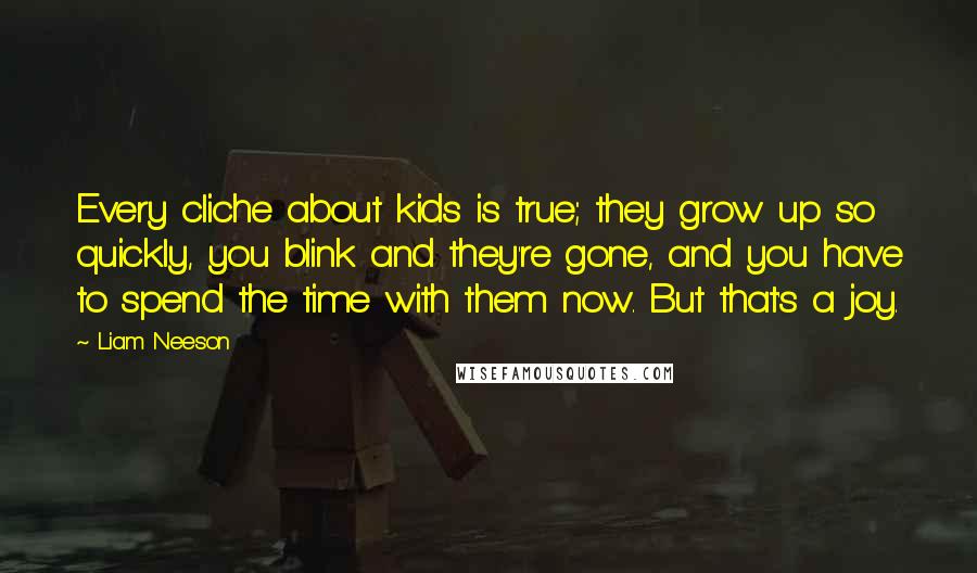 Liam Neeson Quotes: Every cliche about kids is true; they grow up so quickly, you blink and they're gone, and you have to spend the time with them now. But that's a joy.