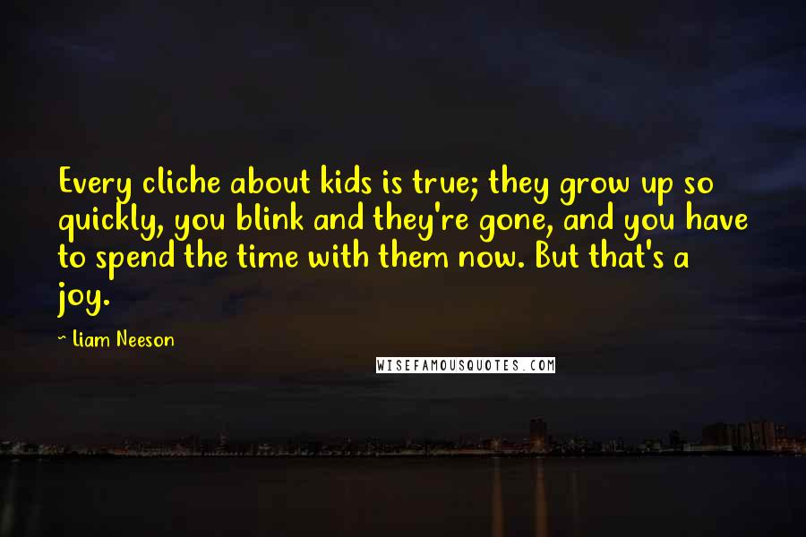 Liam Neeson Quotes: Every cliche about kids is true; they grow up so quickly, you blink and they're gone, and you have to spend the time with them now. But that's a joy.