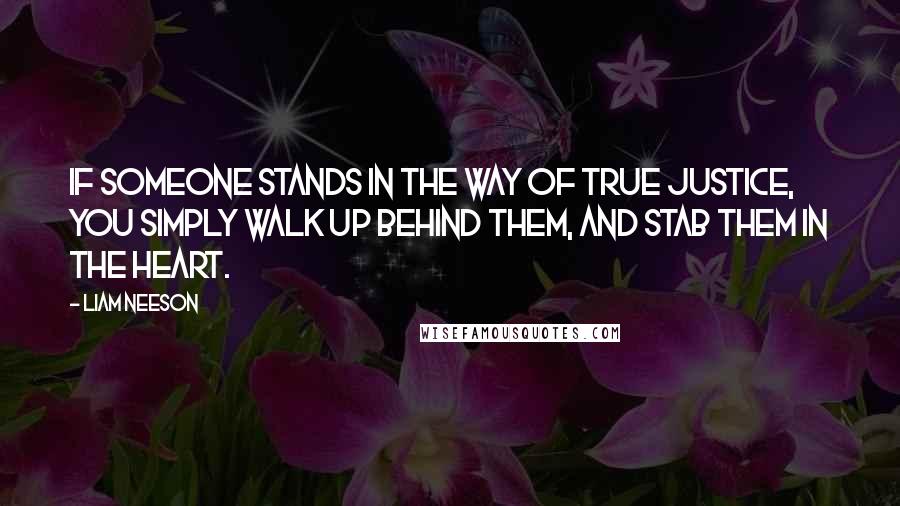 Liam Neeson Quotes: If someone stands in the way of true justice, you simply walk up behind them, and stab them in the heart.