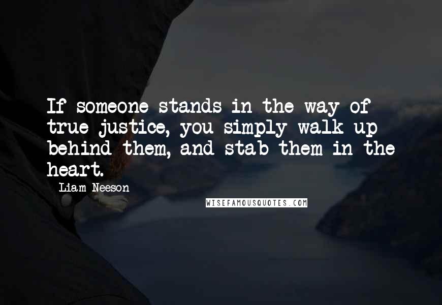 Liam Neeson Quotes: If someone stands in the way of true justice, you simply walk up behind them, and stab them in the heart.