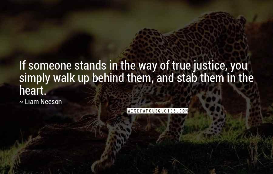 Liam Neeson Quotes: If someone stands in the way of true justice, you simply walk up behind them, and stab them in the heart.