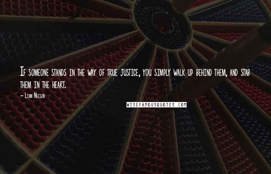 Liam Neeson Quotes: If someone stands in the way of true justice, you simply walk up behind them, and stab them in the heart.