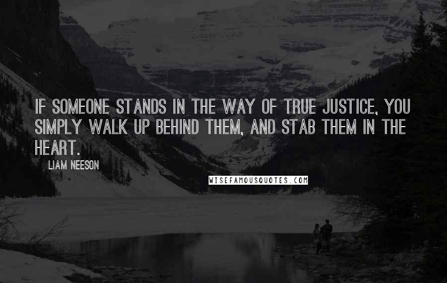 Liam Neeson Quotes: If someone stands in the way of true justice, you simply walk up behind them, and stab them in the heart.