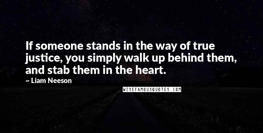 Liam Neeson Quotes: If someone stands in the way of true justice, you simply walk up behind them, and stab them in the heart.