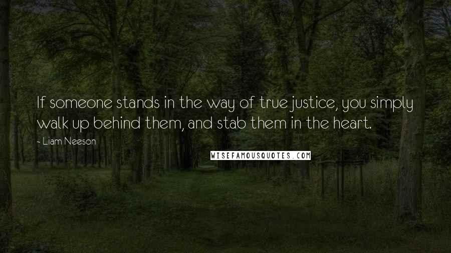 Liam Neeson Quotes: If someone stands in the way of true justice, you simply walk up behind them, and stab them in the heart.