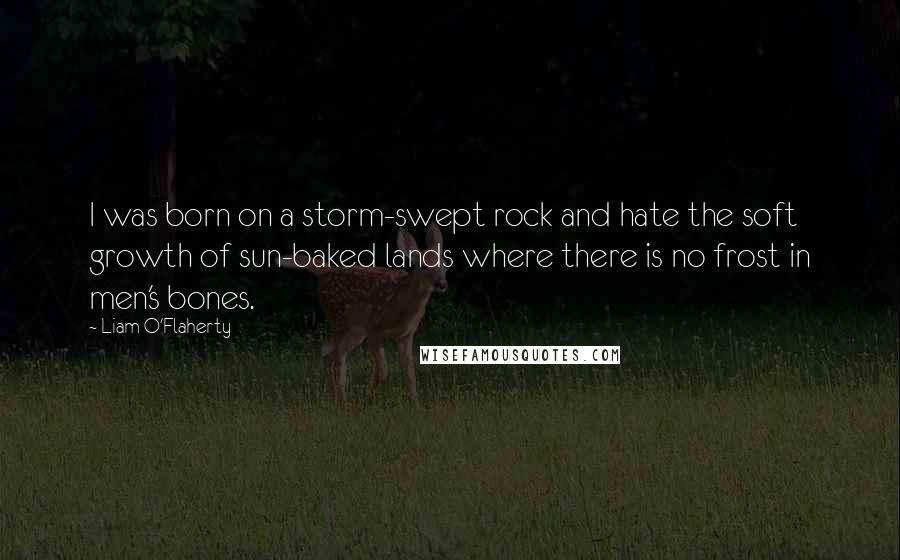 Liam O'Flaherty Quotes: I was born on a storm-swept rock and hate the soft growth of sun-baked lands where there is no frost in men's bones.