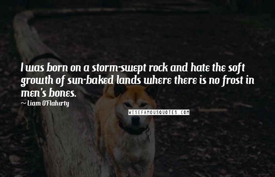 Liam O'Flaherty Quotes: I was born on a storm-swept rock and hate the soft growth of sun-baked lands where there is no frost in men's bones.