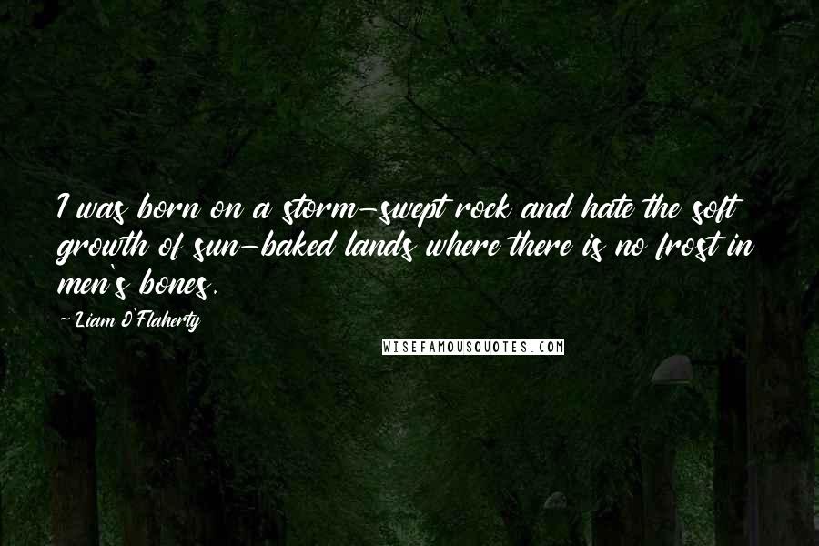 Liam O'Flaherty Quotes: I was born on a storm-swept rock and hate the soft growth of sun-baked lands where there is no frost in men's bones.