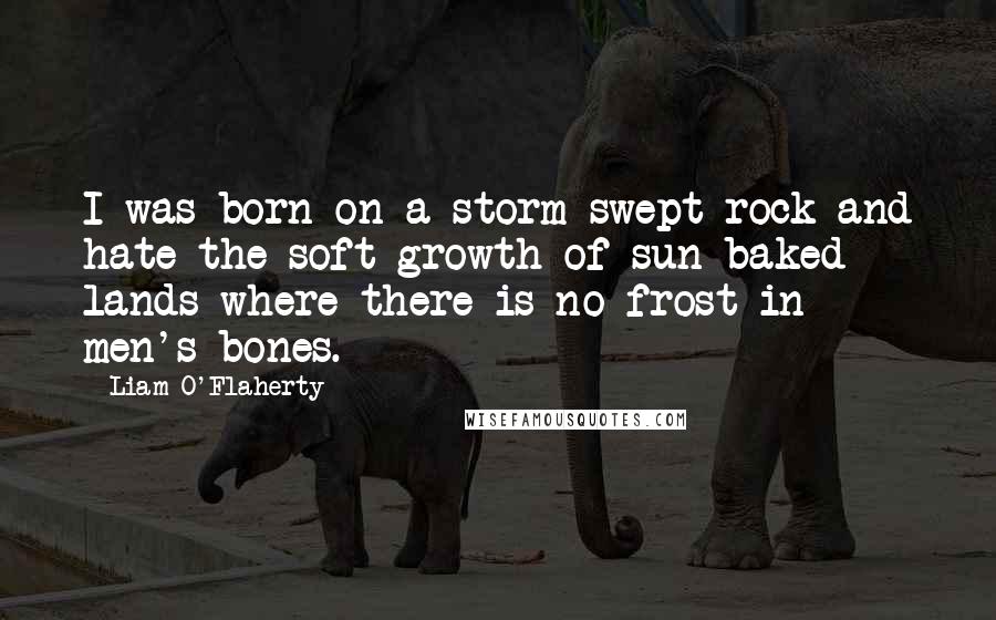 Liam O'Flaherty Quotes: I was born on a storm-swept rock and hate the soft growth of sun-baked lands where there is no frost in men's bones.