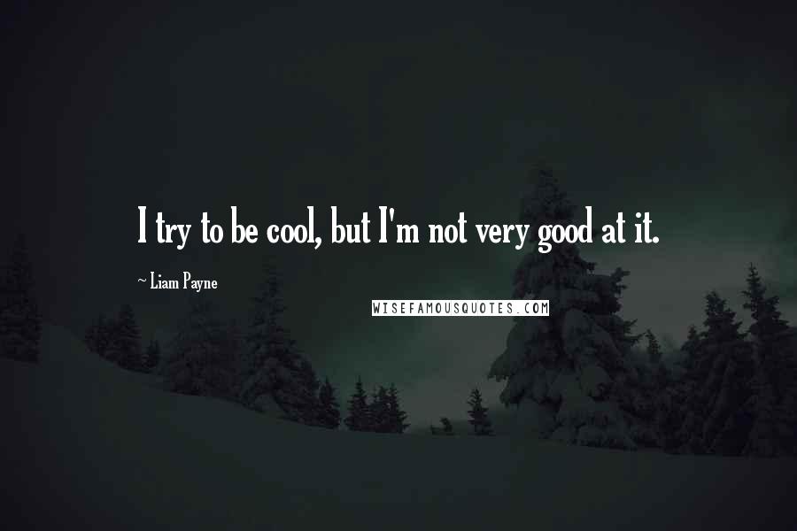 Liam Payne Quotes: I try to be cool, but I'm not very good at it.