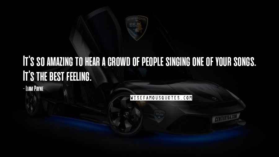 Liam Payne Quotes: It's so amazing to hear a crowd of people singing one of your songs. It's the best feeling.