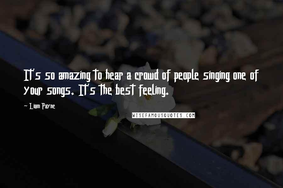 Liam Payne Quotes: It's so amazing to hear a crowd of people singing one of your songs. It's the best feeling.