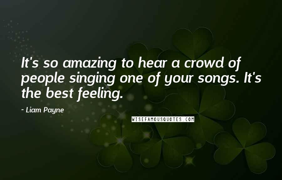 Liam Payne Quotes: It's so amazing to hear a crowd of people singing one of your songs. It's the best feeling.