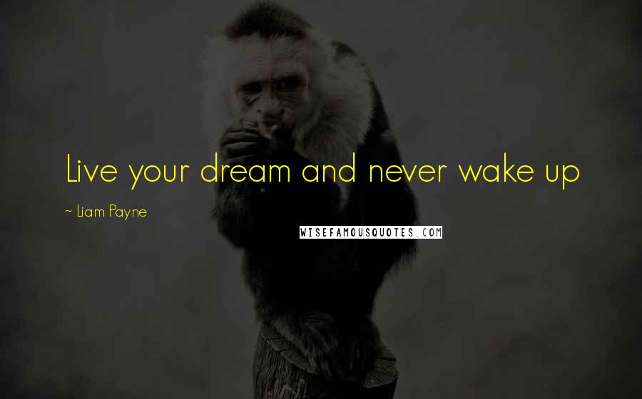 Liam Payne Quotes: Live your dream and never wake up