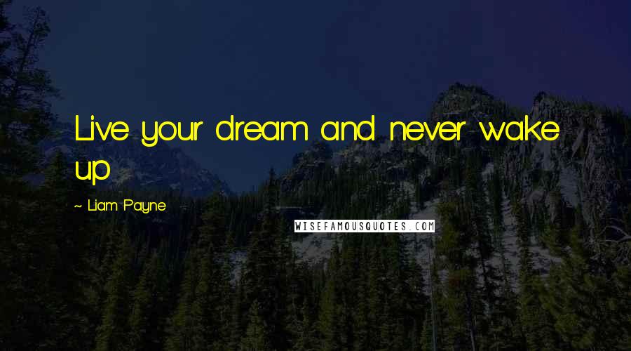 Liam Payne Quotes: Live your dream and never wake up