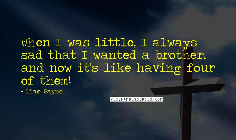 Liam Payne Quotes: When I was little, I always sad that I wanted a brother, and now it's like having four of them!