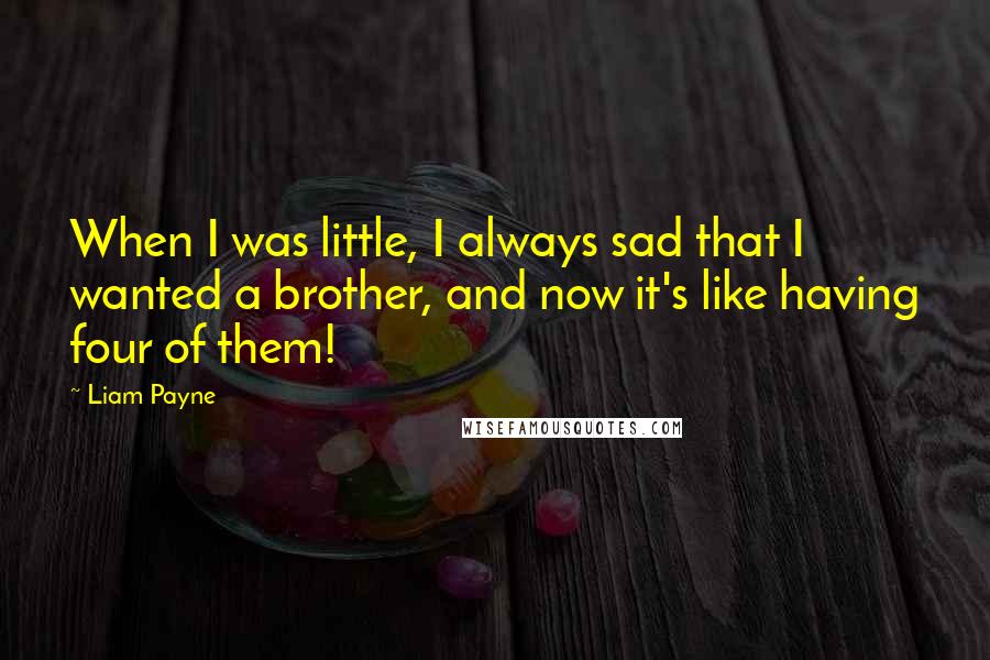Liam Payne Quotes: When I was little, I always sad that I wanted a brother, and now it's like having four of them!