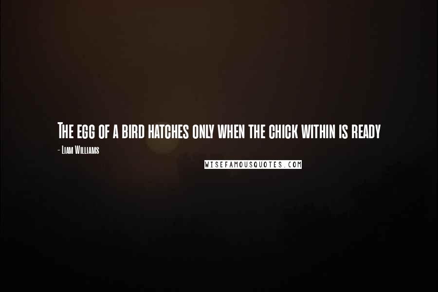 Liam Williams Quotes: The egg of a bird hatches only when the chick within is ready