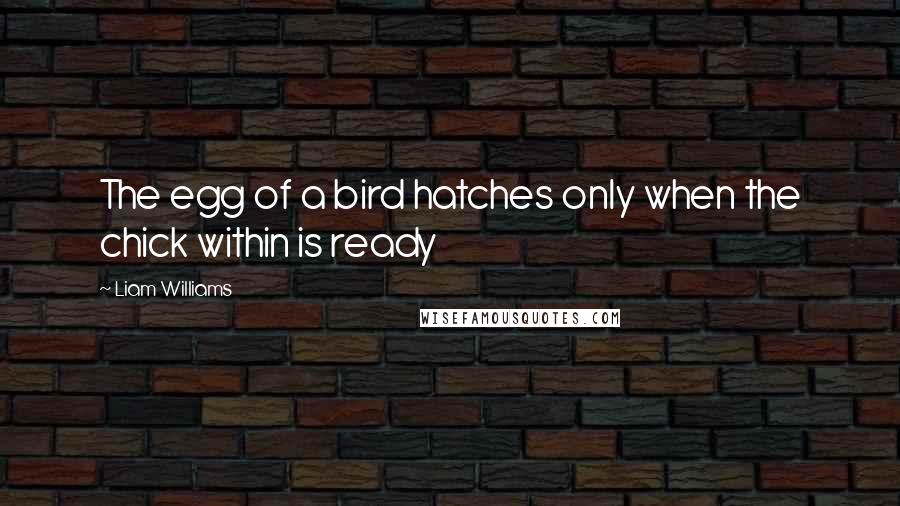 Liam Williams Quotes: The egg of a bird hatches only when the chick within is ready