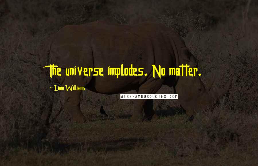 Liam Williams Quotes: The universe implodes. No matter.