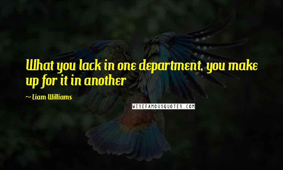 Liam Williams Quotes: What you lack in one department, you make up for it in another