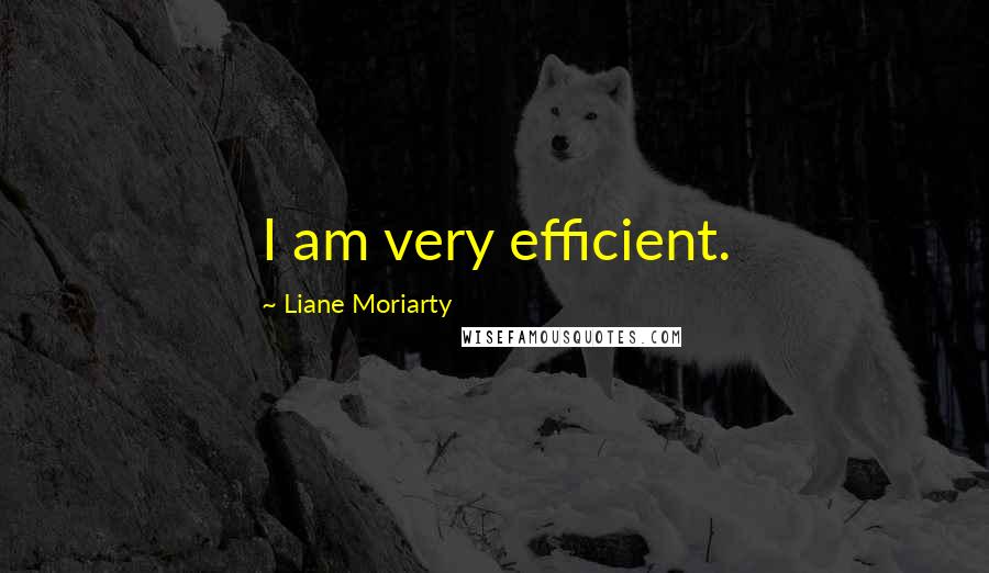 Liane Moriarty Quotes: I am very efficient.