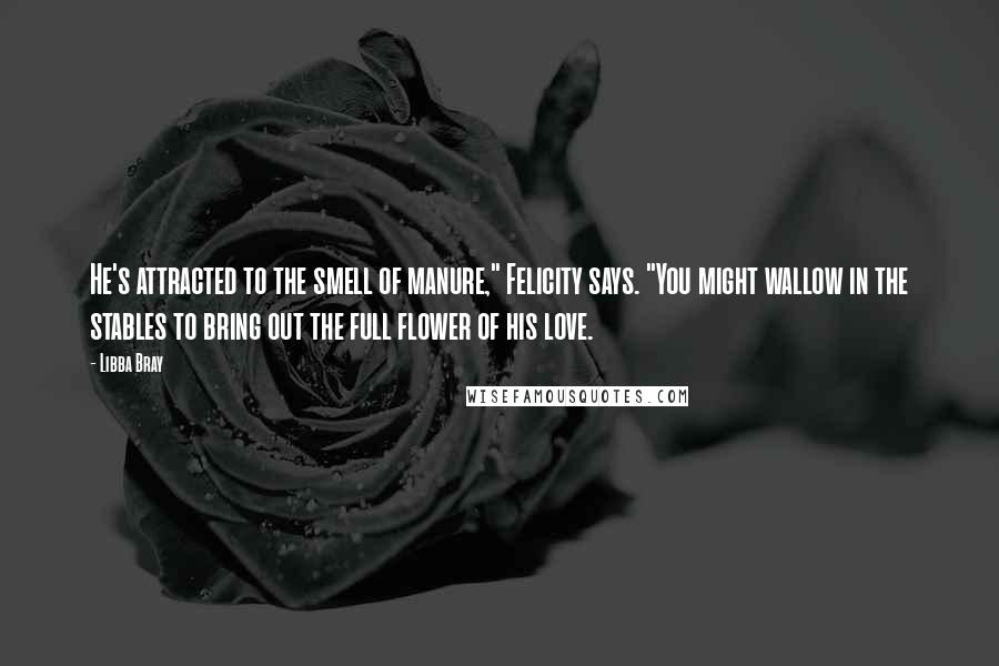 Libba Bray Quotes: He's attracted to the smell of manure," Felicity says. "You might wallow in the stables to bring out the full flower of his love.