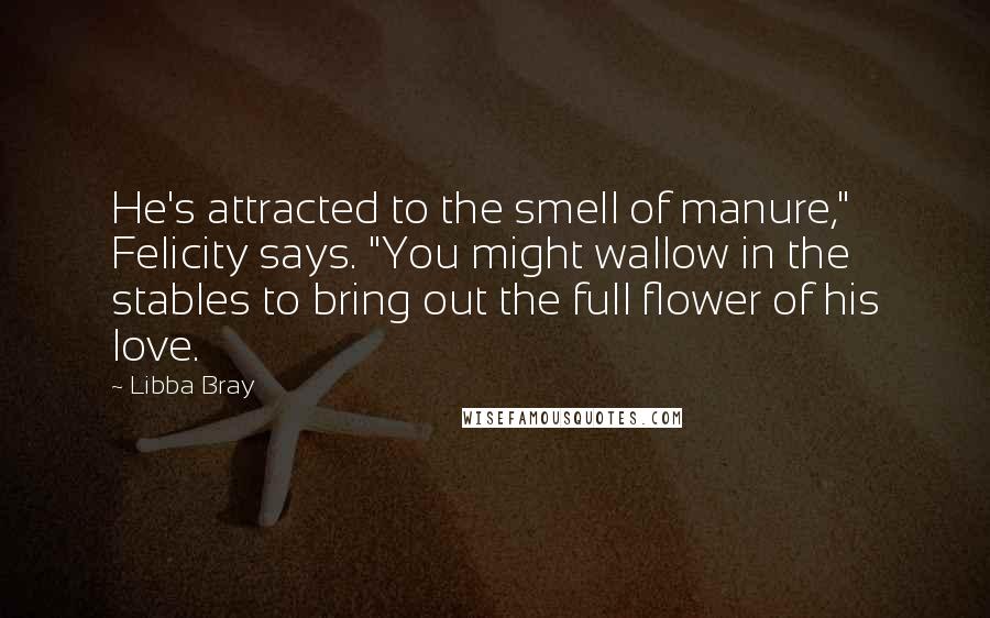 Libba Bray Quotes: He's attracted to the smell of manure," Felicity says. "You might wallow in the stables to bring out the full flower of his love.