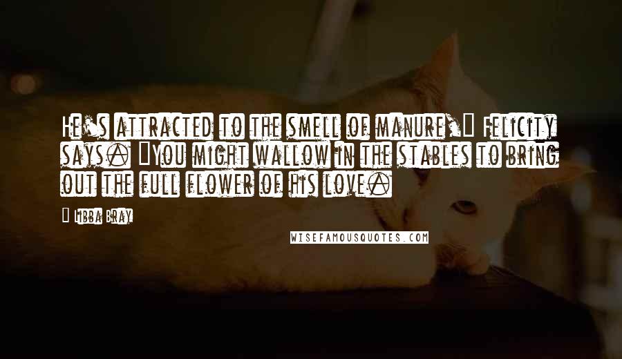 Libba Bray Quotes: He's attracted to the smell of manure," Felicity says. "You might wallow in the stables to bring out the full flower of his love.