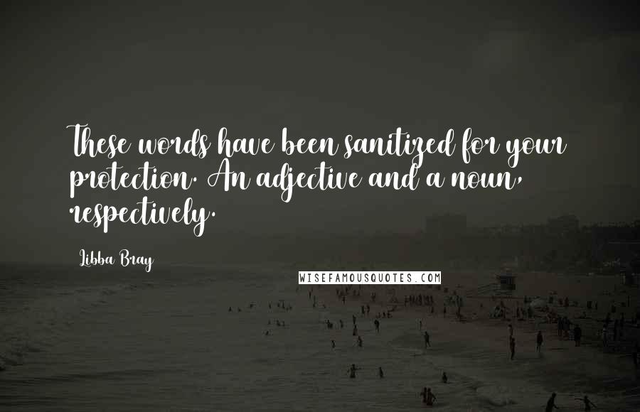 Libba Bray Quotes: These words have been sanitized for your protection. An adjective and a noun, respectively.