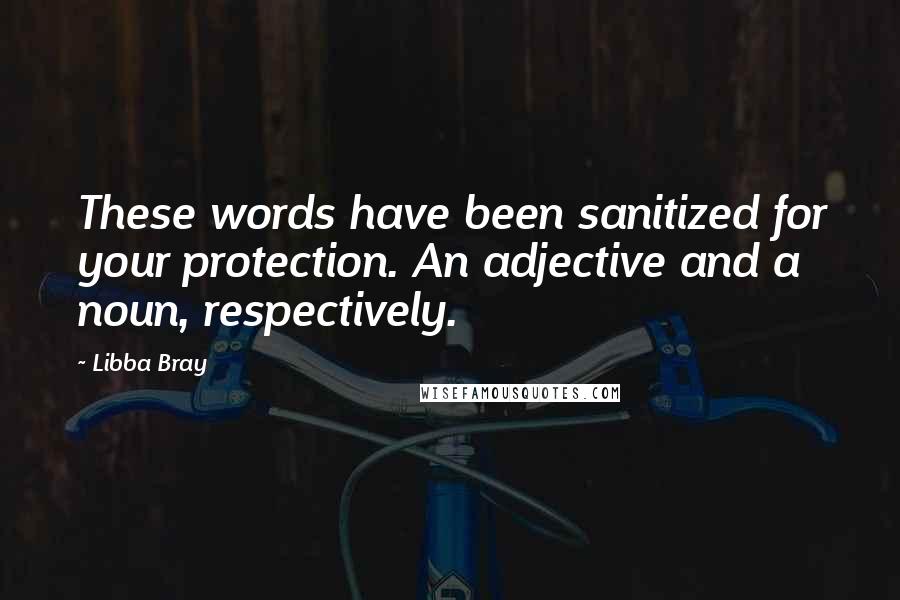 Libba Bray Quotes: These words have been sanitized for your protection. An adjective and a noun, respectively.