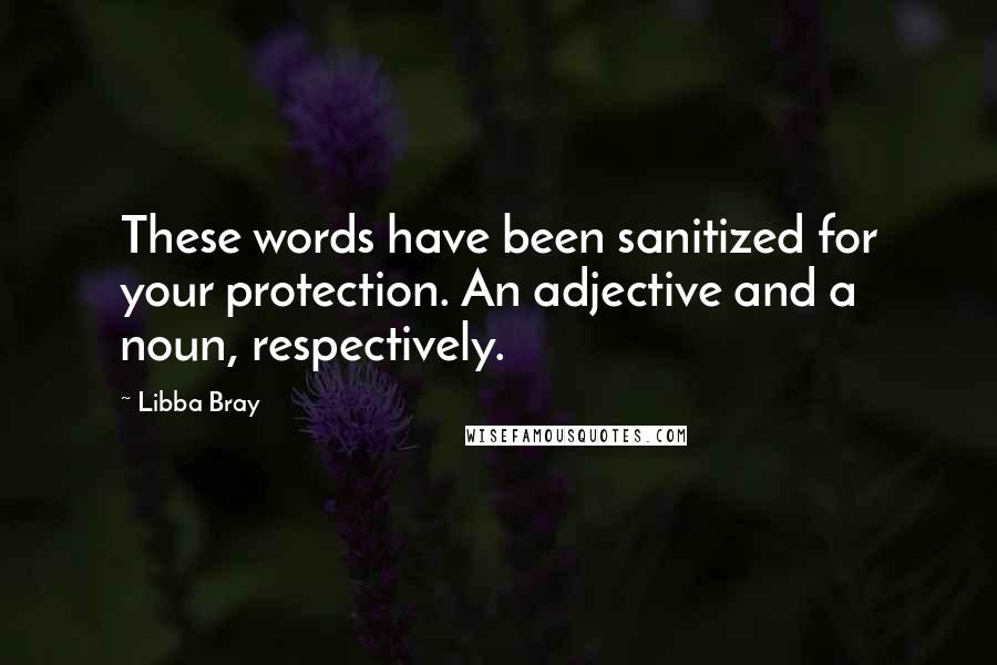 Libba Bray Quotes: These words have been sanitized for your protection. An adjective and a noun, respectively.