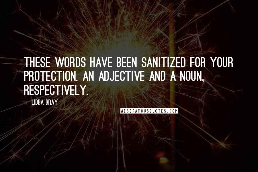 Libba Bray Quotes: These words have been sanitized for your protection. An adjective and a noun, respectively.