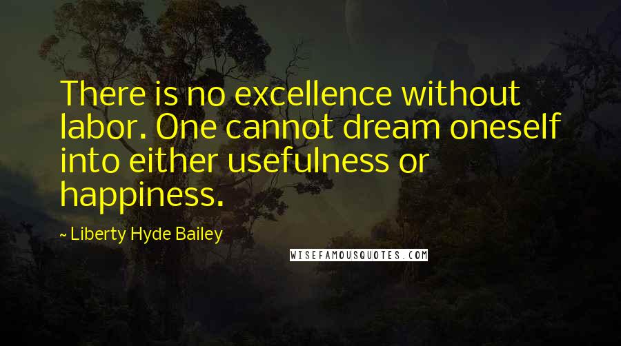 Liberty Hyde Bailey Quotes: There is no excellence without labor. One cannot dream oneself into either usefulness or happiness.