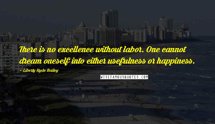 Liberty Hyde Bailey Quotes: There is no excellence without labor. One cannot dream oneself into either usefulness or happiness.