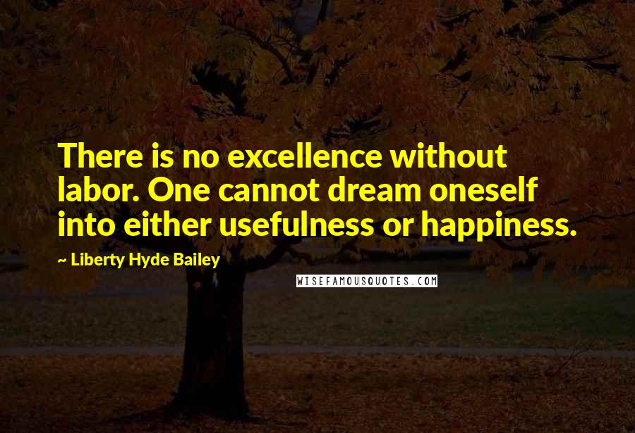 Liberty Hyde Bailey Quotes: There is no excellence without labor. One cannot dream oneself into either usefulness or happiness.