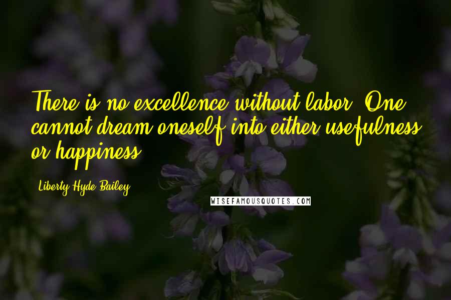 Liberty Hyde Bailey Quotes: There is no excellence without labor. One cannot dream oneself into either usefulness or happiness.
