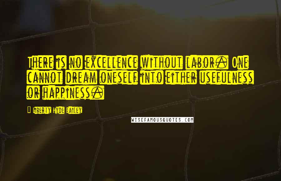 Liberty Hyde Bailey Quotes: There is no excellence without labor. One cannot dream oneself into either usefulness or happiness.