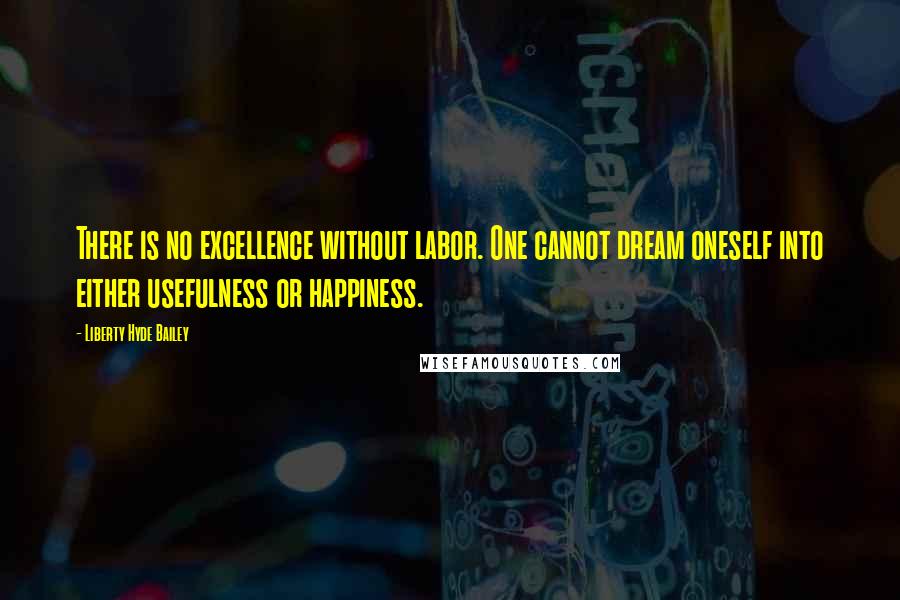 Liberty Hyde Bailey Quotes: There is no excellence without labor. One cannot dream oneself into either usefulness or happiness.