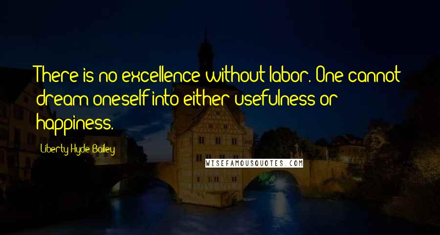 Liberty Hyde Bailey Quotes: There is no excellence without labor. One cannot dream oneself into either usefulness or happiness.