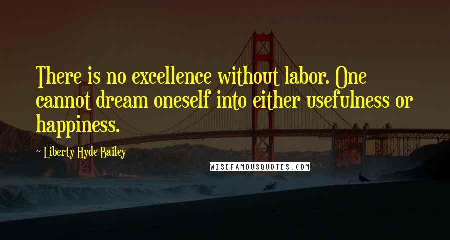 Liberty Hyde Bailey Quotes: There is no excellence without labor. One cannot dream oneself into either usefulness or happiness.