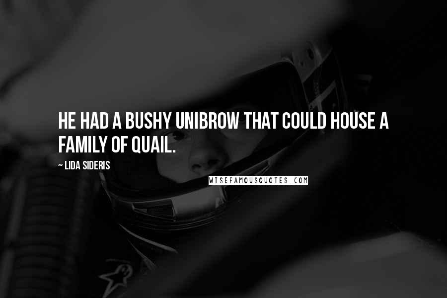 Lida Sideris Quotes: He had a bushy unibrow that could house a family of quail.