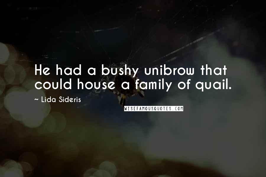 Lida Sideris Quotes: He had a bushy unibrow that could house a family of quail.